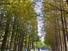 -日照灯塔风景区