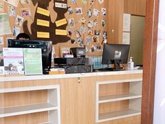 -爱妮康宠物医院·干细胞免疫细胞·肿瘤·心脏(张江店)