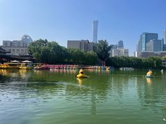 -团结湖公园
