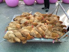 -百万葵园