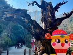 -龙湾潭国家森林公园