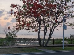 -三亚西岛海洋文化旅游区