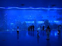 -石家庄极地海洋世界
