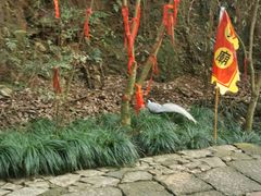 -梦姑塘文化公园