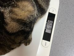 -创凡宠物医院·骨专科  猫科中心(西乡分院)