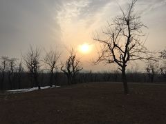 -汉长安城未央宫国家考古遗址公园