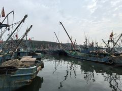 -龙王塘渔港