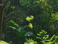 -燕晗山郊野公园