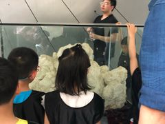 -中国地质大学逸夫博物馆