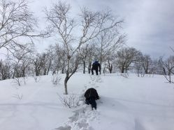 -大秃顶子山