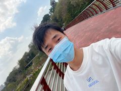 -王借岗森林公园