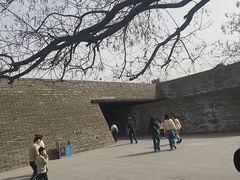 -秦始皇帝陵博物院-丽山园