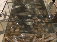 海鲜类-盛宴标帜餐厅·亲子自助 (南昌喜来登酒店)