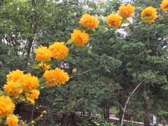 -华源足浴棋牌SPA