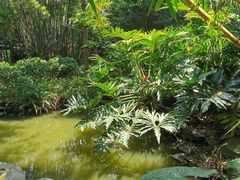 -水濂山森林公园