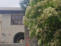 -盐池神庙