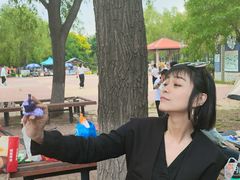 -丁香湖公园