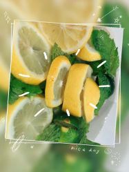 -紫御国际抗衰ZOE ANTI AGING