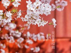 -龙美术馆(西岸馆)