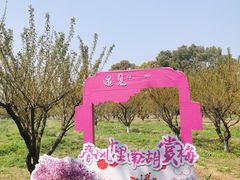 -南湖湿地公园