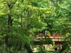 -三千院