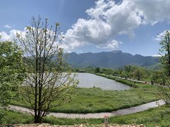 -大九湖