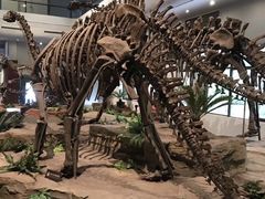 -自贡恐龙博物馆