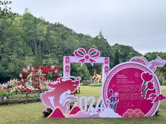 -深圳仙湖植物园