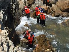 -西涌国际滨海旅游区