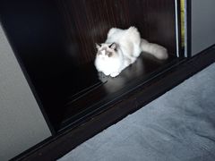 -零纪元VR体验馆·桌游(黄浦店)