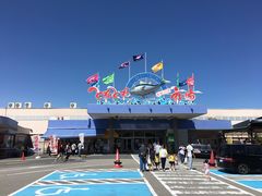-海鮮寿司とれとれ市場