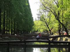 -同济大学本部学苑饮食广场