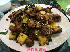 -泸沽肴(泸沽湖大洛水村农村信用社旁店)
