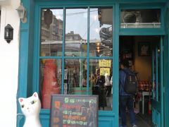 -猫咪博物馆(顶澳仔猫街店)