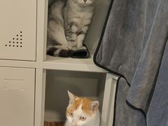 -平行世界·猫咖(首经贸店)