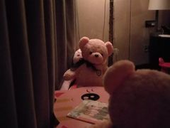 -上海崇明金茂凯悦酒店