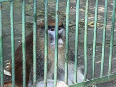 -秦皇岛野生动物园