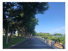 -深圳湾公园(南山区)