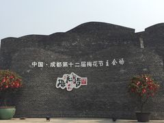 -秀丽东方