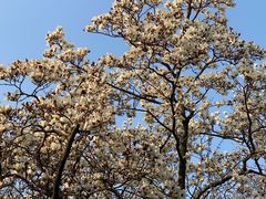 -家烧面馆【南山路知名经典面食】