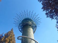 -黄海国家森林公园