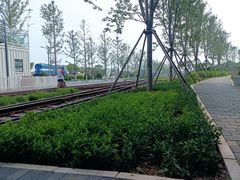 -南门小馆·清真(国贸商城店)