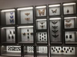 -酷嗒动物文化乐园(cutezoo西溪乐天城店)