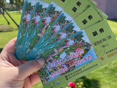 -洪湖湿地生态园