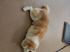 -YCHL Studios健身工作室(市二宫店)