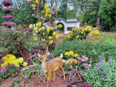 -上海共青森林公园