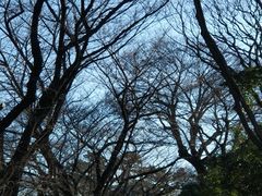 -名古屋城