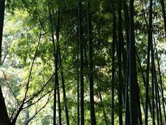 -宝岩生态观光园