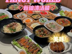 -新仙清汤牛腩(铜锣湾店)