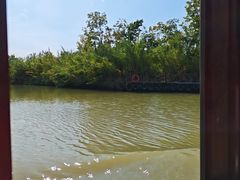 -泗洪洪泽湖湿地景区